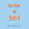 Sat-B - The Best of Sat-B